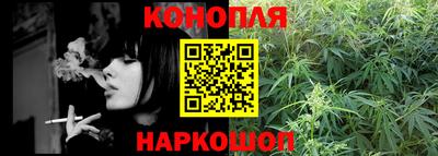 гашик Камышлов