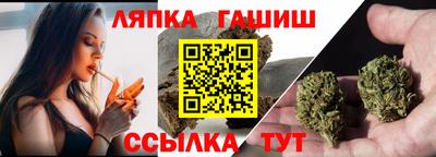 гашик Камышлов
