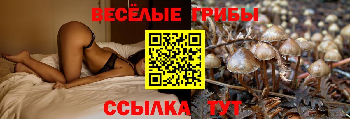 Псилоцибиновые грибы Magic Shrooms Кулебаки